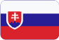 Автопрокат Чешская Республика Slovensky